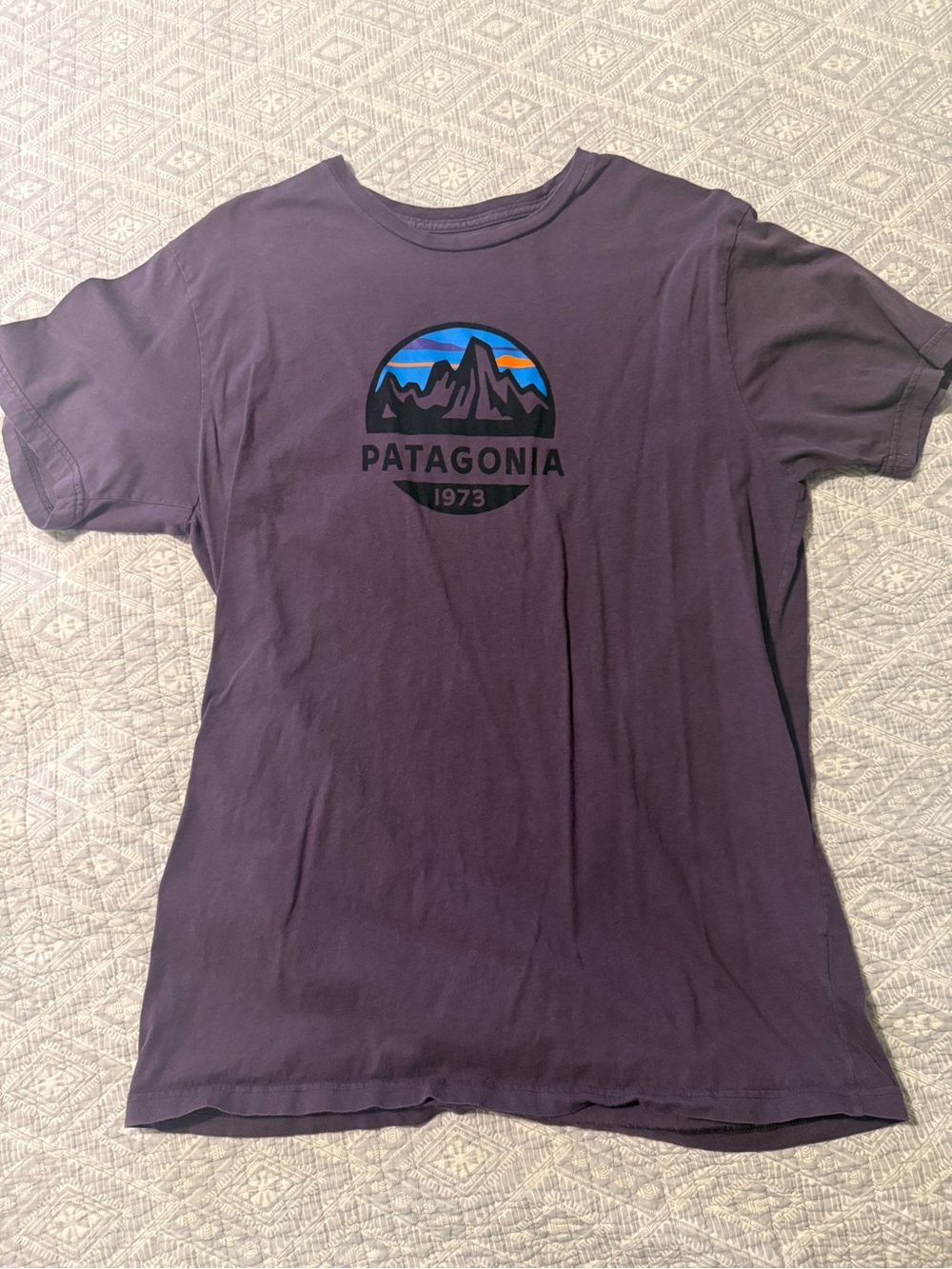 Patagonia tshirt